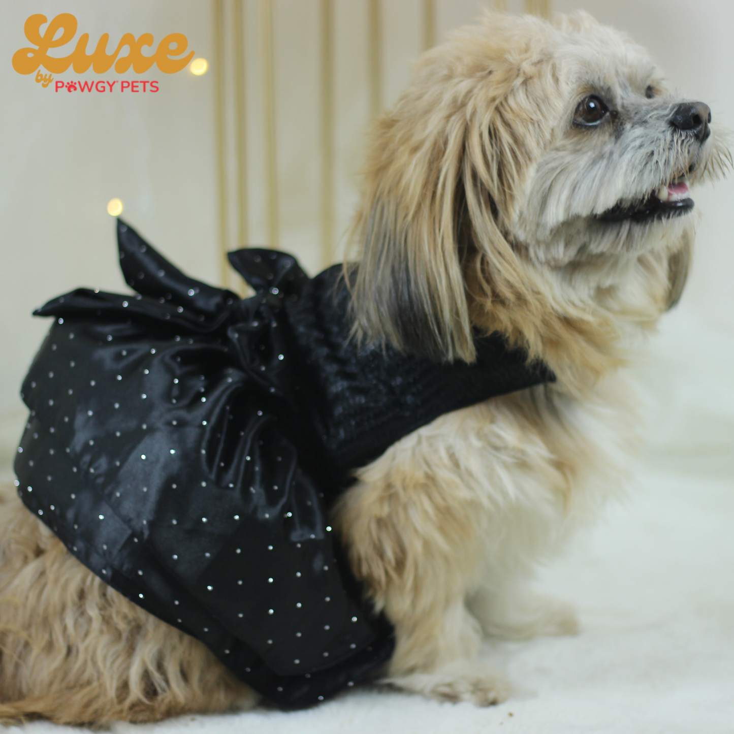 Black Balloon Dress | Luxe Collection | Pawgy Pets