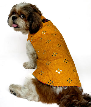 Pawgy Pets Festive Shirt Mustard Mirror Work for Dogs