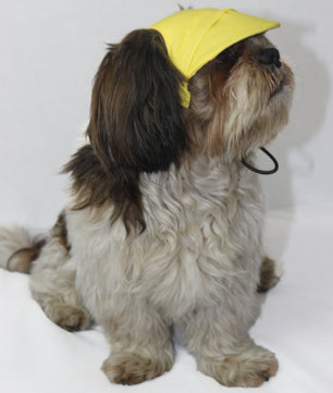 Pawgy Pets Dog Cap: Yellow for Dog & Cats