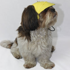 Pawgy Pets Dog Cap: Yellow for Dog & Cats