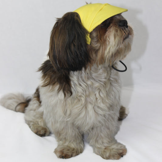 Pawgy Pets Dog Cap: Yellow for Dog & Cats
