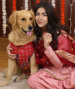 Pawgy Pets Festive Kurta Patola for Dogs
