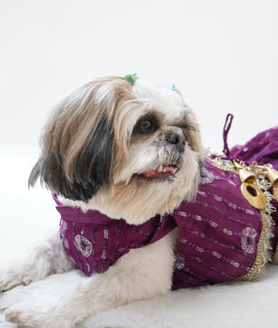 Pawgy Pets Net Lehenga Violet for Dogs & Cats