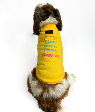 Pawgy Pets T-shirt Lick Fetch Treat Repeat Yellow for Dogs & Cats