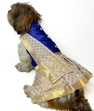 South Indian Traditional Kasavu Kurta-Mundu with dupatta Royal Blue for Dogs