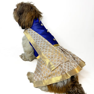 South Indian Traditional Kasavu Kurta-Mundu with dupatta Royal Blue for Dogs