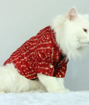 Pawgy Pets Red Bandani kurta for Cats