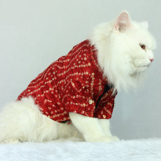 Pawgy Pets Red Bandani kurta for Cats