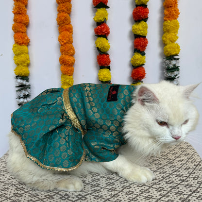 Pawgy Pets Occasion wear Dress Teal Blue : Cat Pawgy Pets Occasion wear Dress Teal Blue : Cat