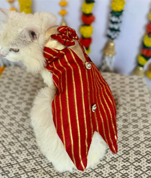 Pawgy Pets Desi Tuxedo Red Gota (Cat)