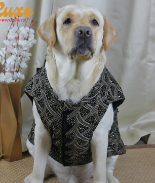 Luxe by Pawgy Pets embroidered Velvet Sherwani Black
