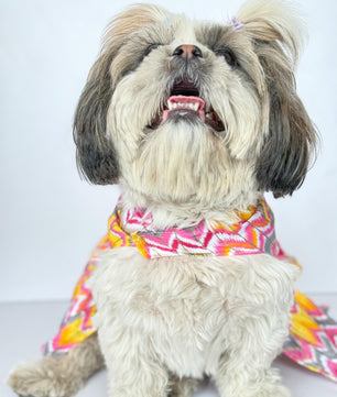 Pawgy Pets Zig-Zag Dress Pink for Dogs
