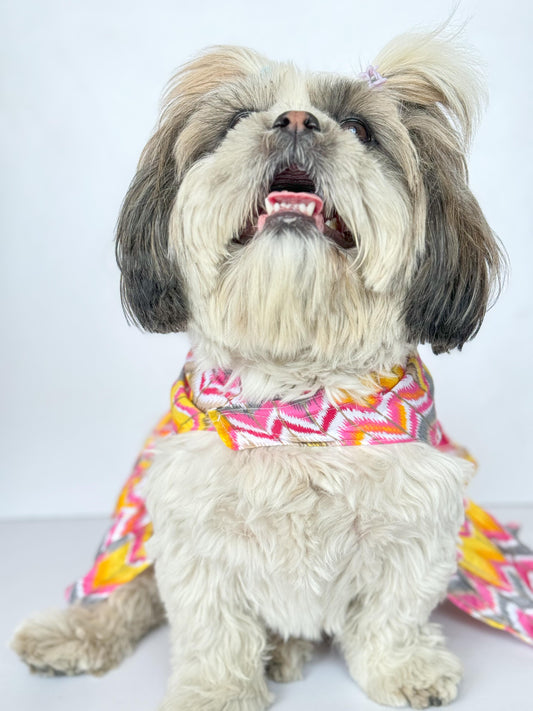 Pawgy Pets Zig-Zag Dress Pink for Dogs