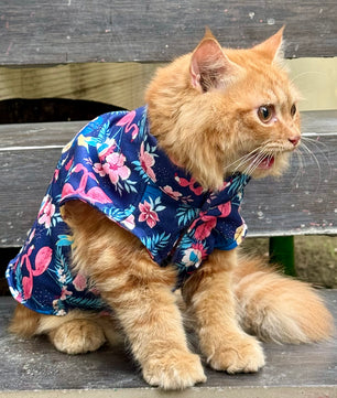 Pawgy Pets Flamingo Sando (Cat)