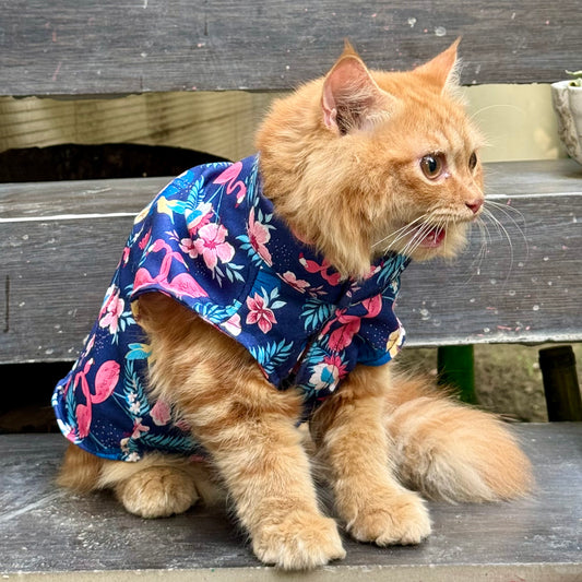 Pawgy Pets Flamingo Sando (Cat)