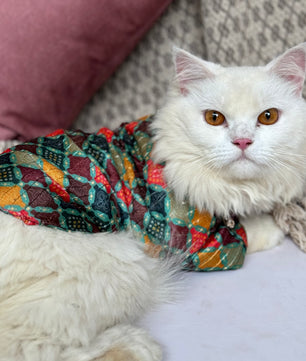 Pawgy Pets Silk kurta Multi: Cat