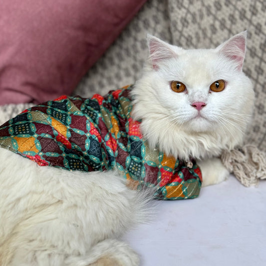 Pawgy Pets Silk kurta Multi: Cat