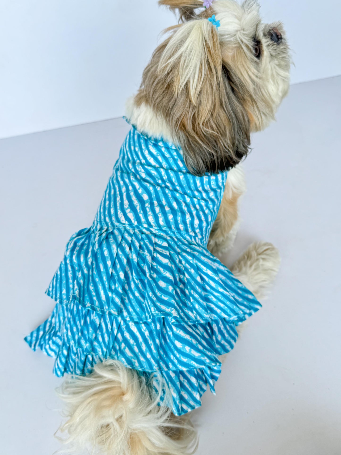 Blue Lehriya Dress | For Dogs | Pawgy Pets