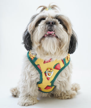 Pawgy Pets Padded Harness Watermelon