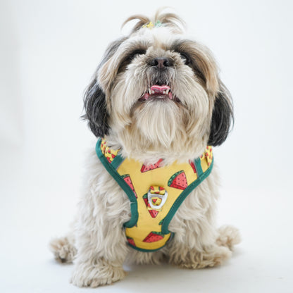 Watermelon | Padded Harness for Dogs and Cats | Pawgy Pets