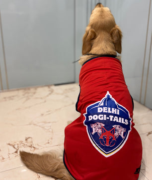 Pawgy Pets Delhi Dogi-Tails T-shirt for Dogs and Cats