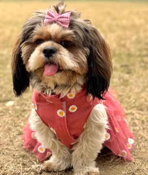 Pawgy Pets Frilly Dress Rusty Pink for Dogs