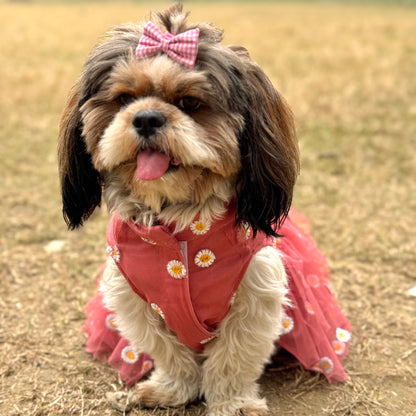 Pawgy Pets Frilly Dress Rusty Pink for Dogs