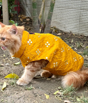 Pawgy Pets Festive Mirror work Sando: Mustard (Cat)