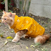 Mustard Mirror Work Festive Sando | For Cats | Pawgy Pets