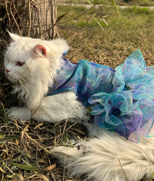 Pawgy Pets Frilly Dress: Blue Tie&Dye for Cats