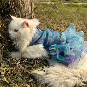 Pawgy Pets Frilly Dress: Blue Tie&Dye for Cats