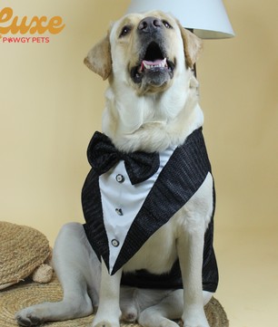 Luxe by Pawgy Pets Shimmering Black Bowtie Tuxedo