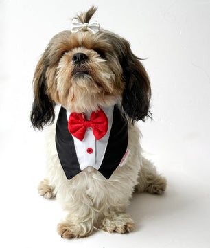 Pawgy Pets Formal Tux Bandana: Black for Dogs & Cats