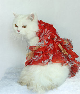 Pawgy Pets Frilly dress Red (Cat)