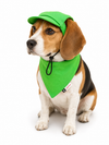 Lime Green Cap and Bandana Set | For Dogs | Pawgy Pets
