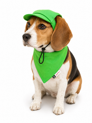 Lime Green Cap and Bandana Set | For Dogs | Pawgy Pets