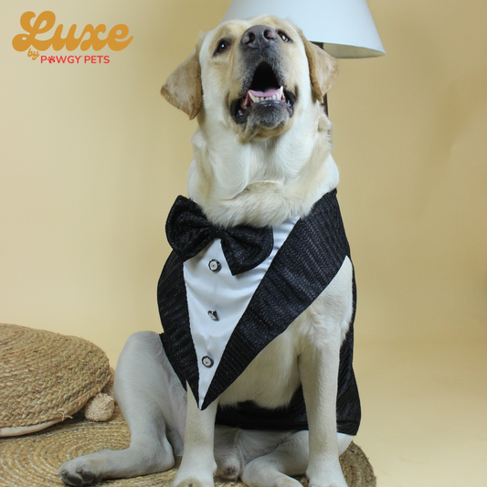 Luxe by Pawgy Pets Shimmering Black Bowtie Tuxedo