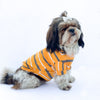 Yellow Round Neck T-shirt | For Dogs | Pawgy Pets