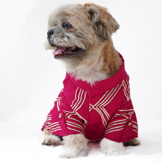 Pawgy Pets Festive Shirt Hot Pink Gota for Dogs