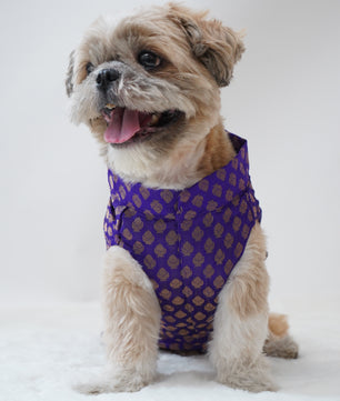 Pawgy Pets Sherwani Purple for Dogs