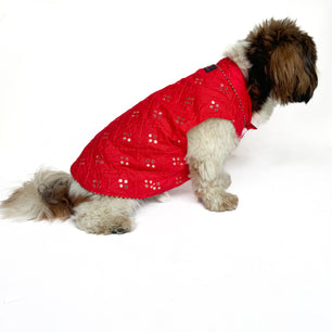 Pawgy Pets Festive Shirt Red Mirror Work for Dogs