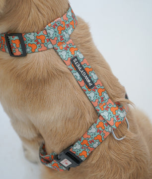 Pawgy Pets H-Harness Mickey Pastel Green for Dogs and Cats