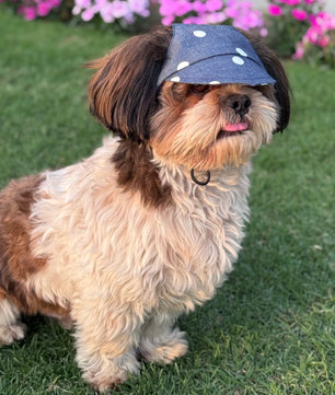 Pawgy Pets Dog Cap: Denim Polka for Dog & Cats