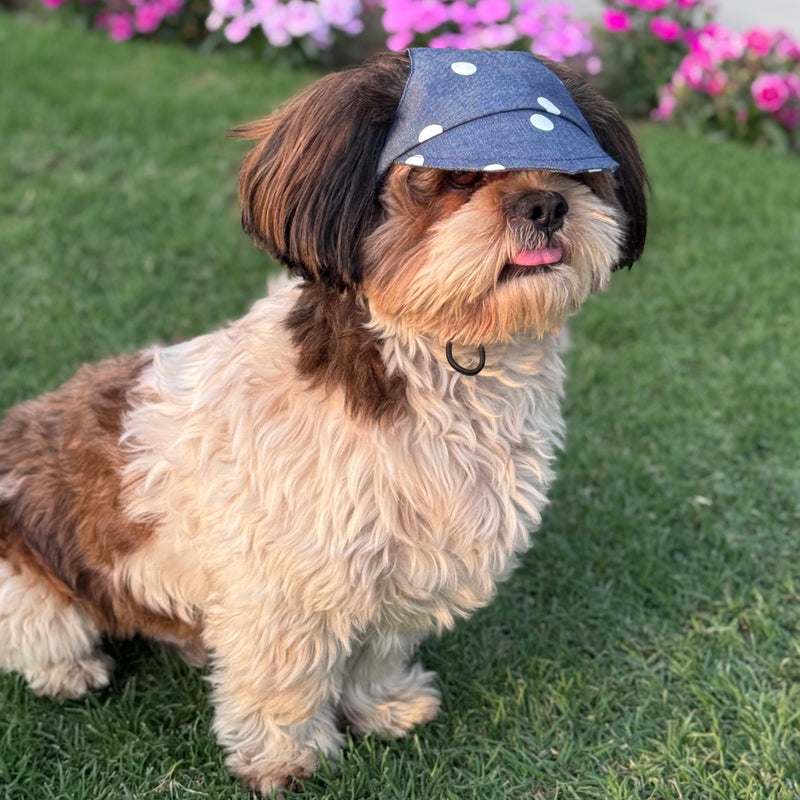 Denim Polka Cap | For Dogs | Pawgy Pets