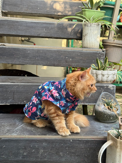 Pawgy Pets Flamingo Sando (Cat)