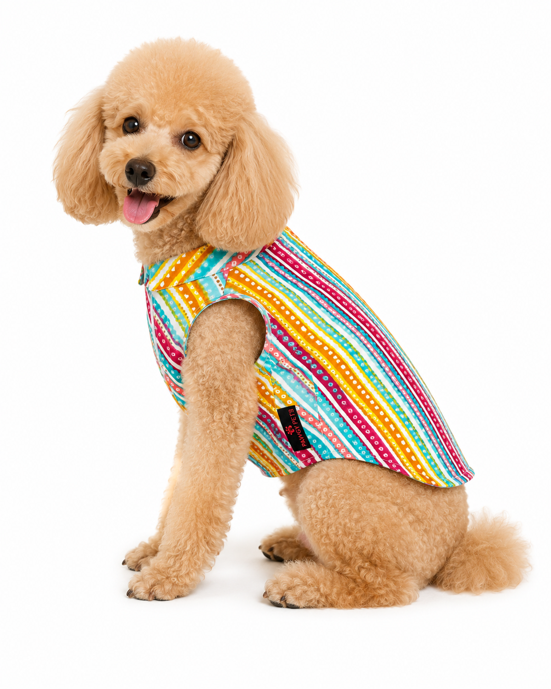Multi Lehriya & Bandani Kurta Set | Pack of 2 | Pawgy Pets