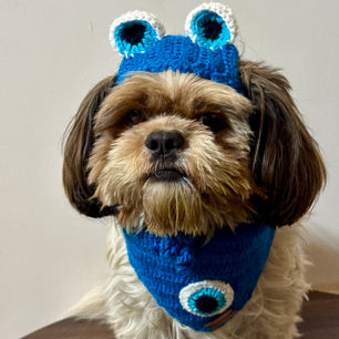 Pawgy Pets Evil Eye Cap and Bandana set for Dogs and Cats