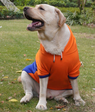 Pawgy Pets Stripe Hoodie Pet Sweatshirt - Orange n Blue