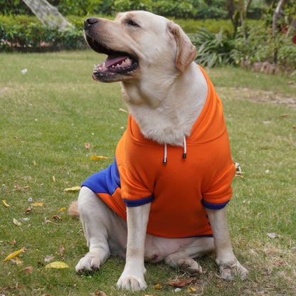 Orange & Blue Stripe Hoodie Sweatshirt | For Dogs & Cats | Pawgy Pets