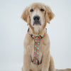 Mickey Pastel Green | H-Harness for Dogs and Cats | Pawgy Pets